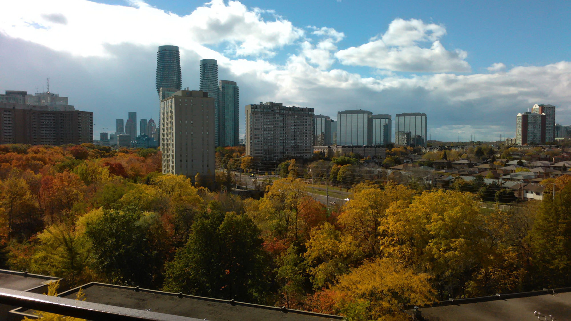 buildings over trees