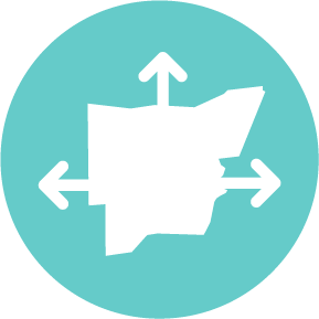 network icon